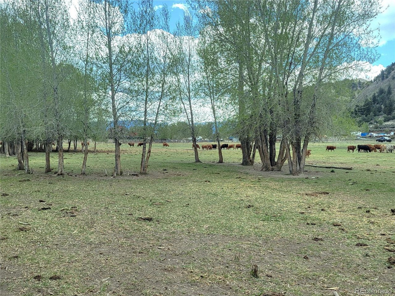 Violet Ln, Eagle, CO 81631