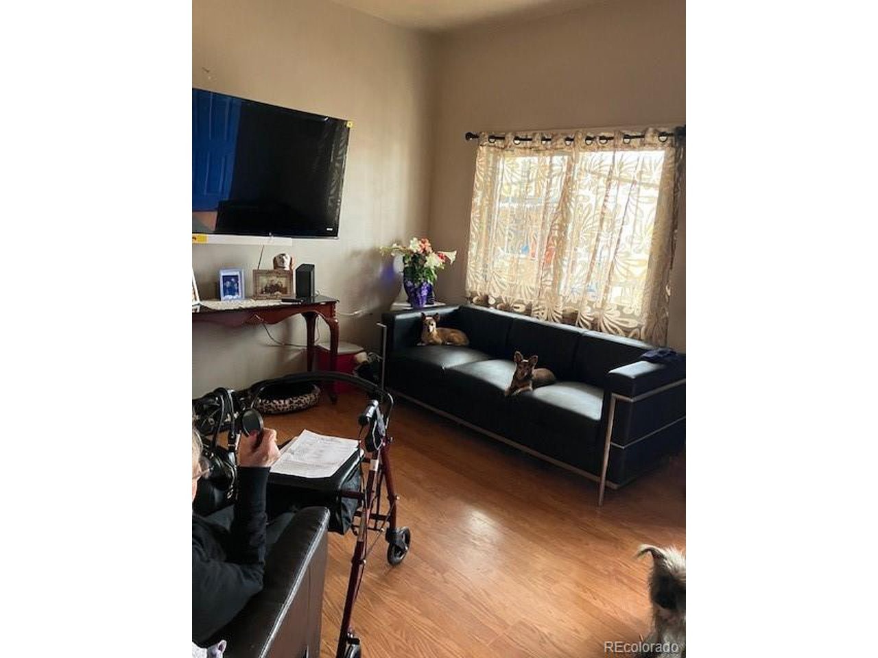 49th Ave, Denver, CO 80216 #1