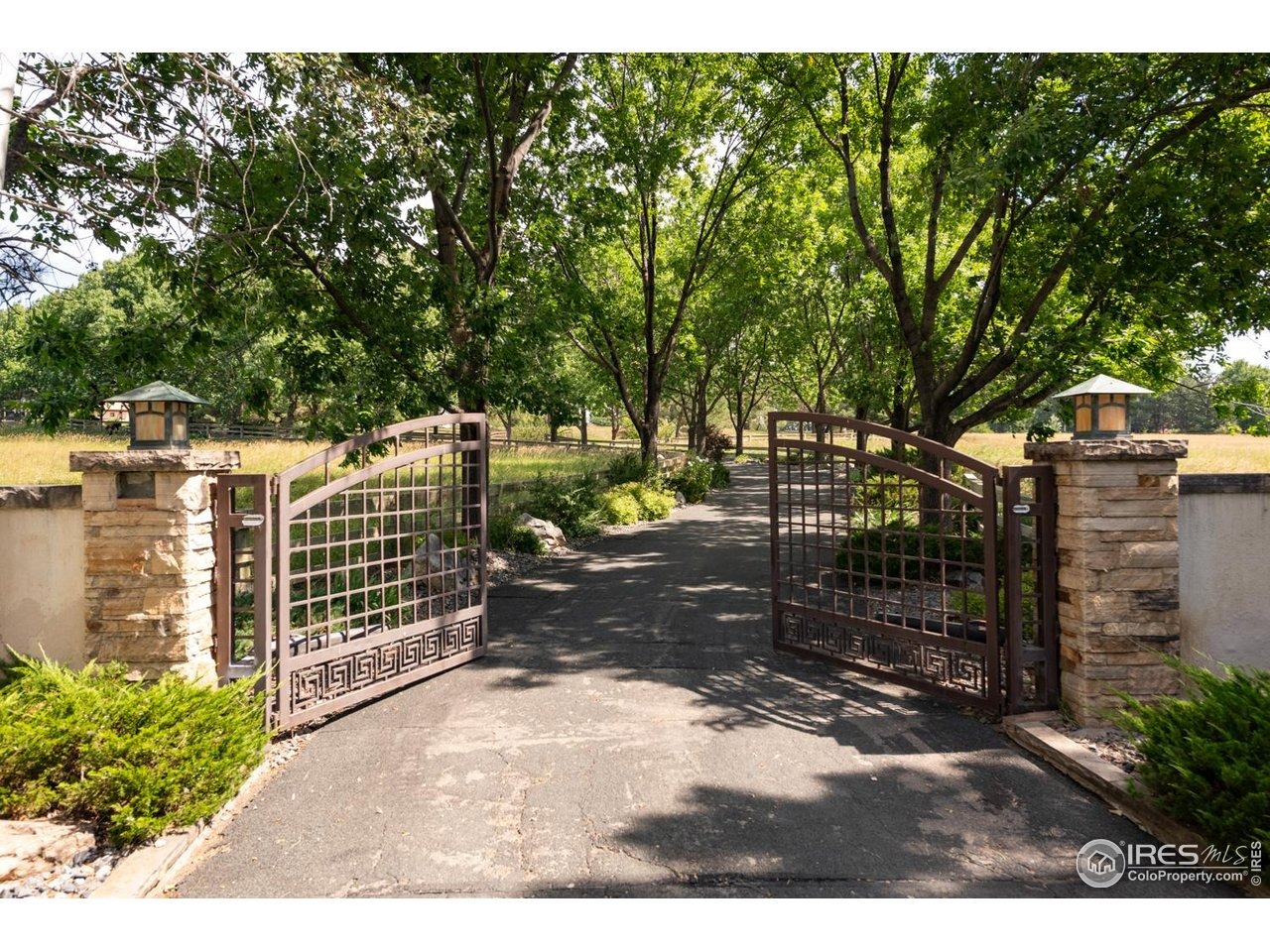Rozena Dr, Longmont, CO 80503 #1