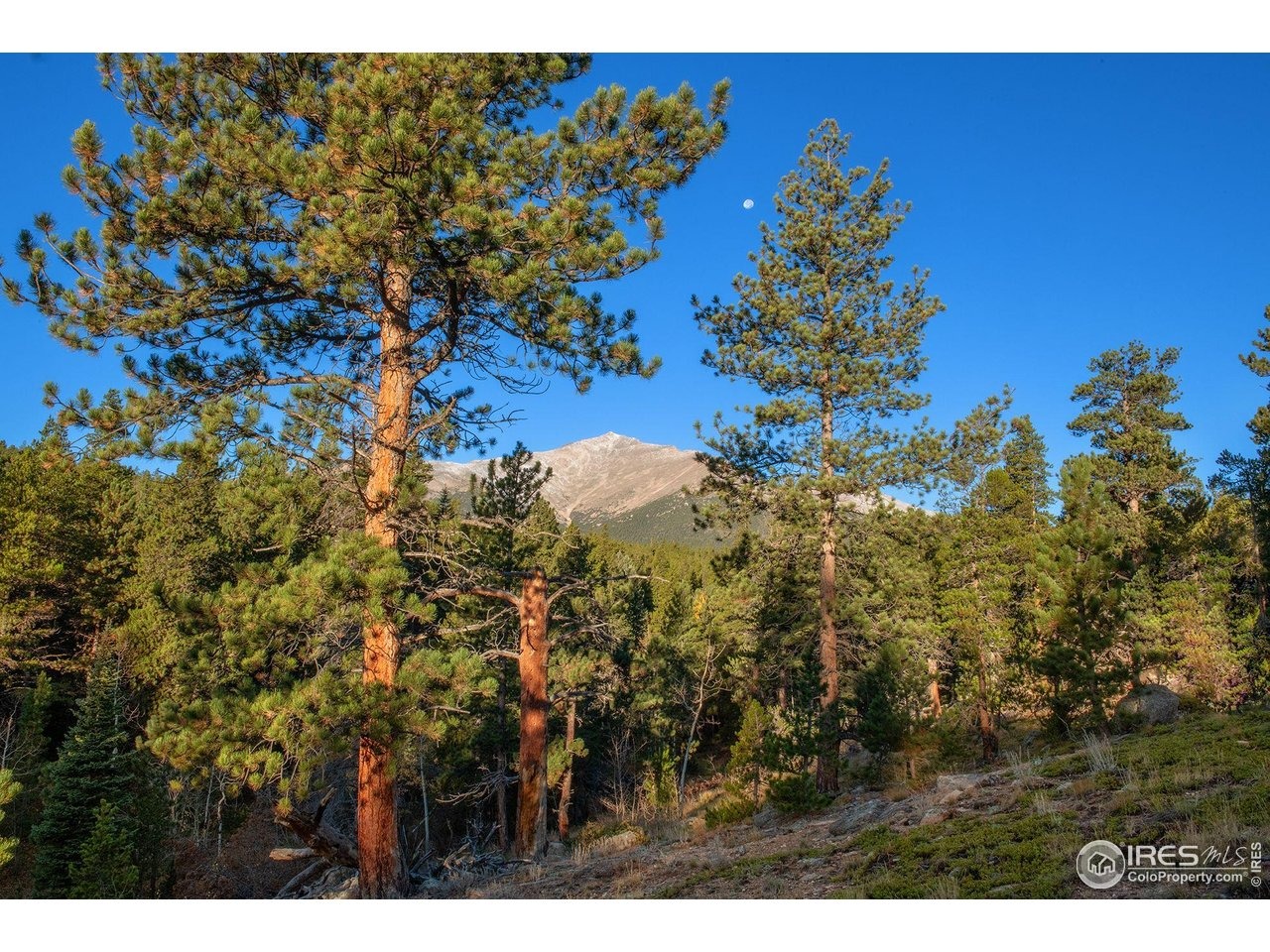 Big Owl Rd, Allenspark, CO 80510 #1