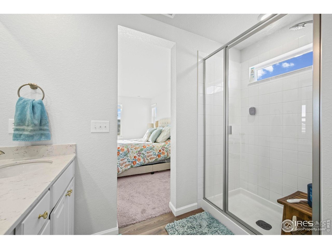 Hummocky Way, Windsor, CO 80550 #1