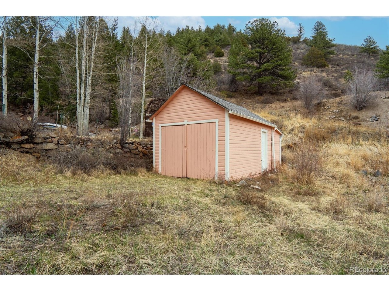 Main St, Empire, CO 80438 #1