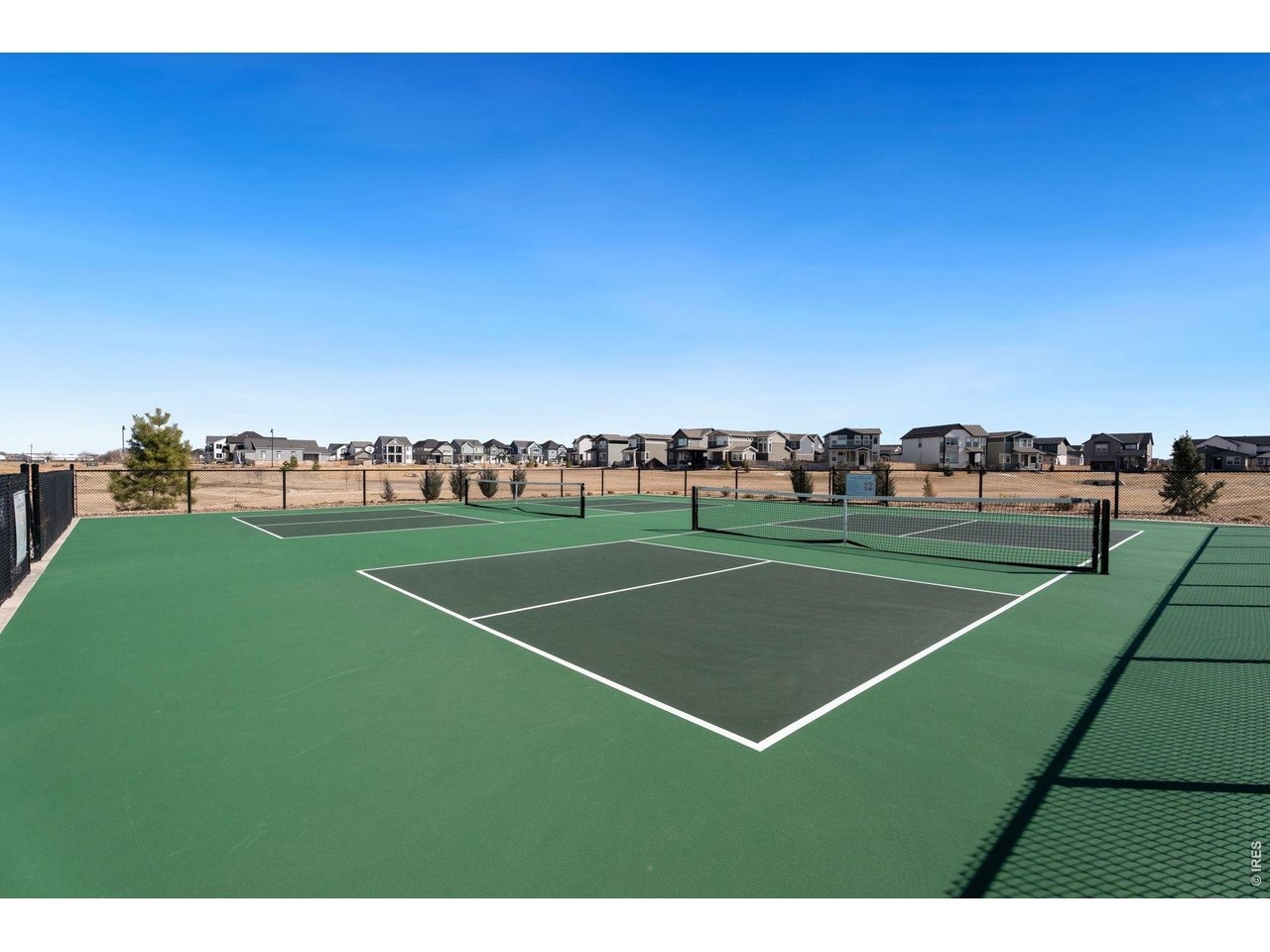Jedidiah Dr, Timnath, CO 80547 #1