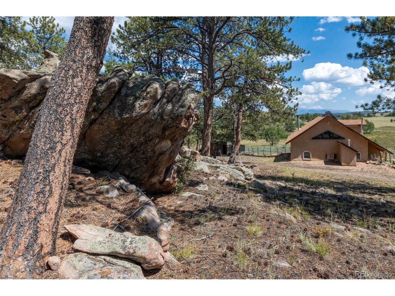 Homestake Pl, Florissant, CO 80816