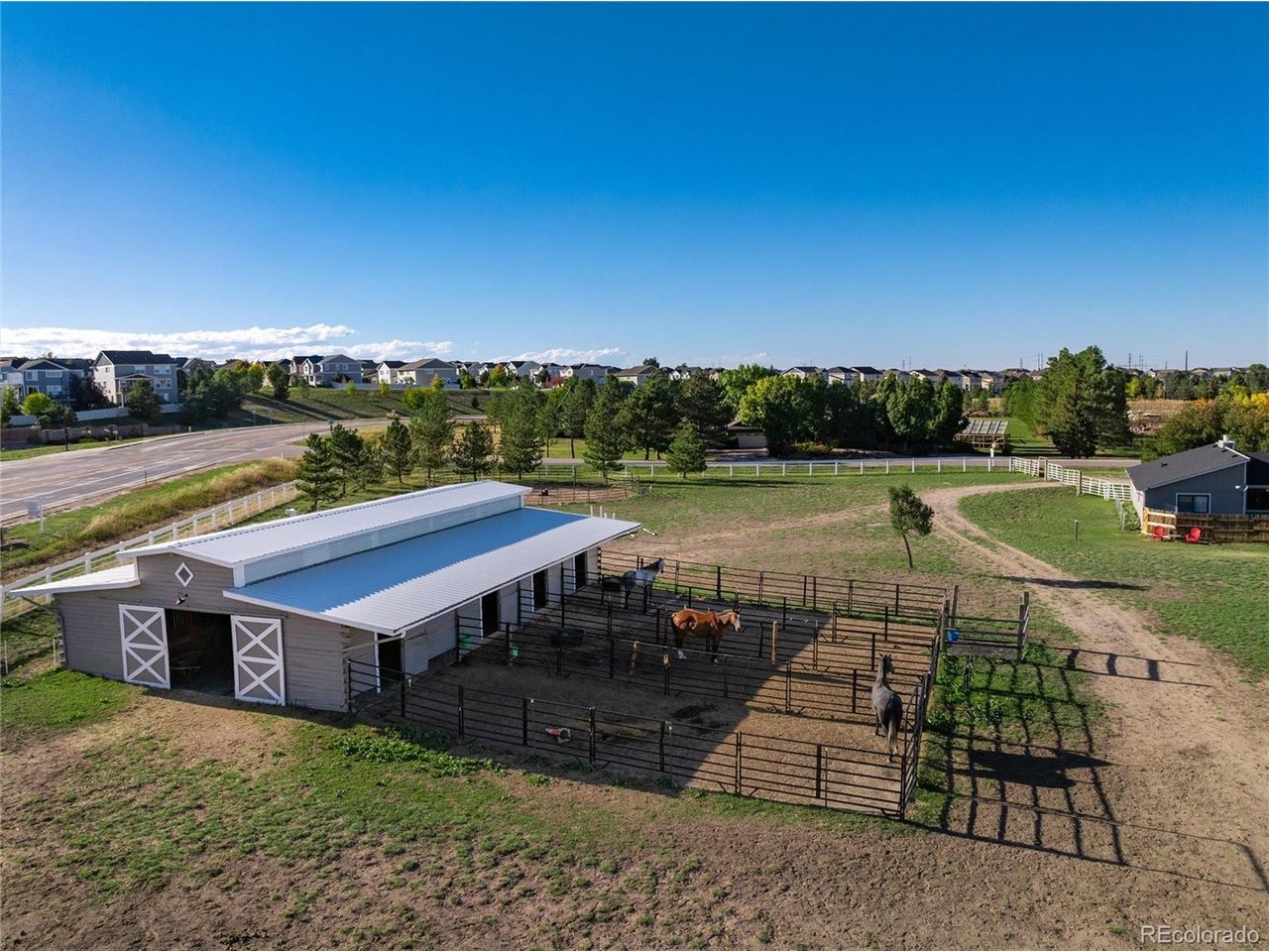 King Ct, Parker, CO 80134 #1