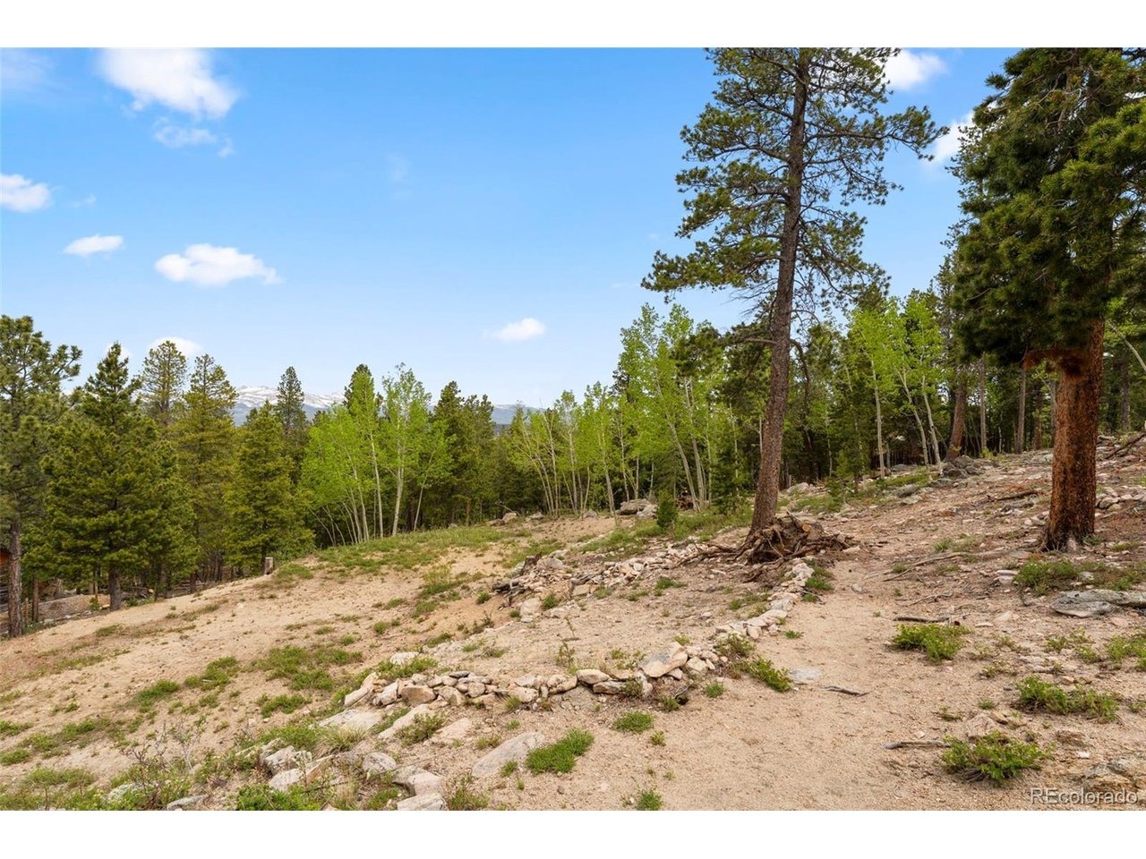 Cutforth Rd, Black Hawk, CO 80422 #1