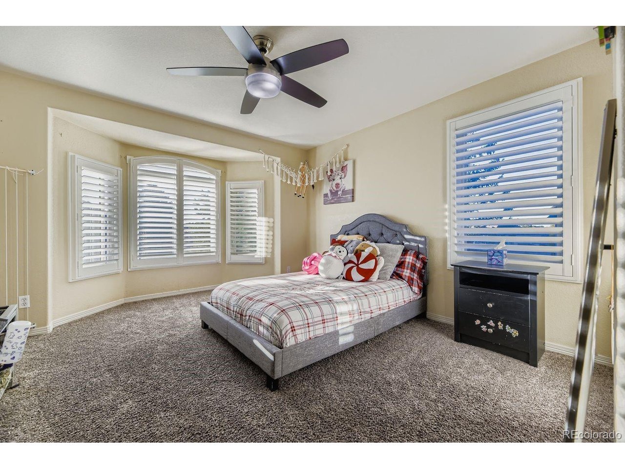 Green Island Cir, Lone Tree, CO 80124 #1