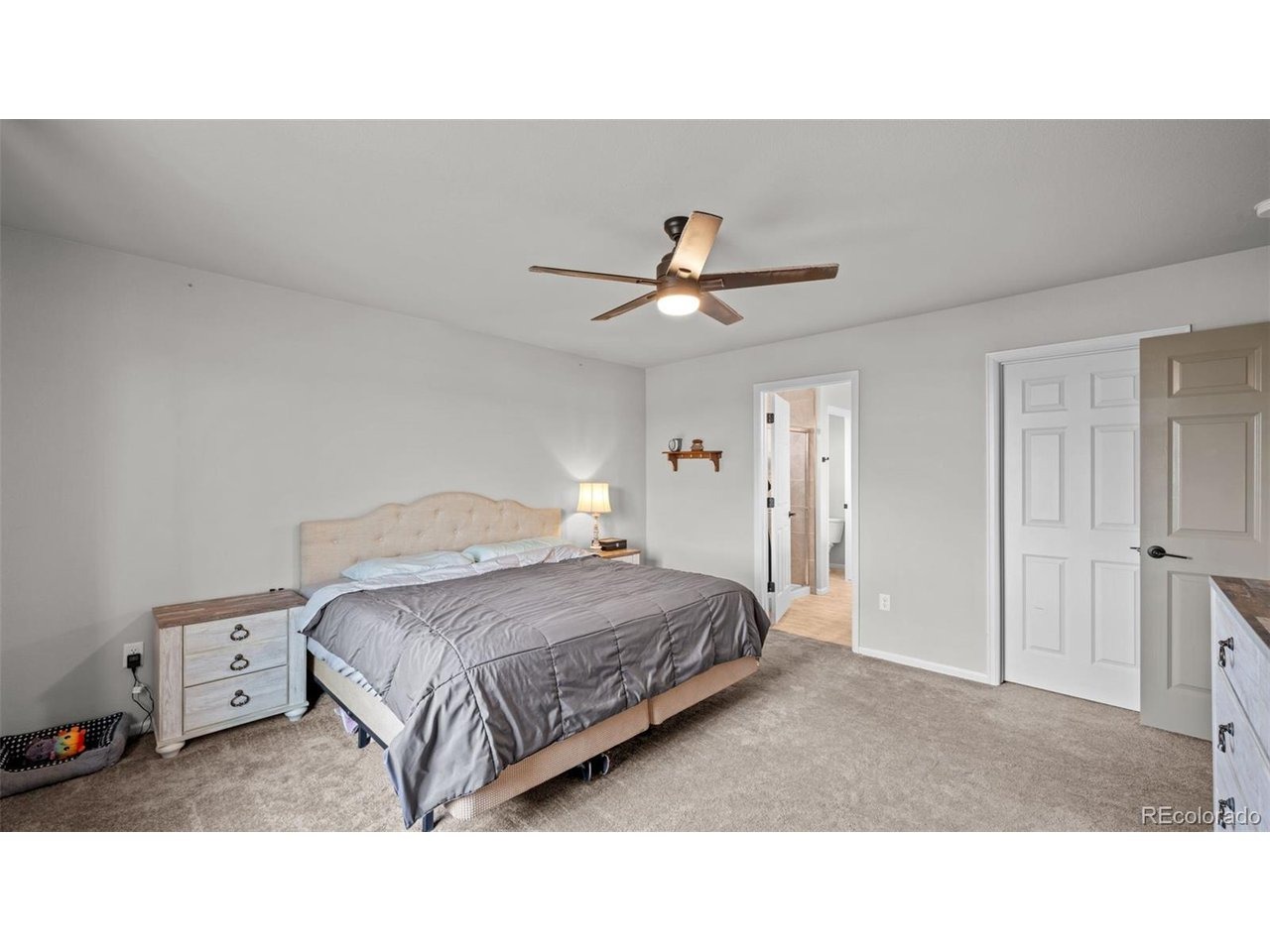 Kildare Dr, Colorado Springs, CO 80927 #1