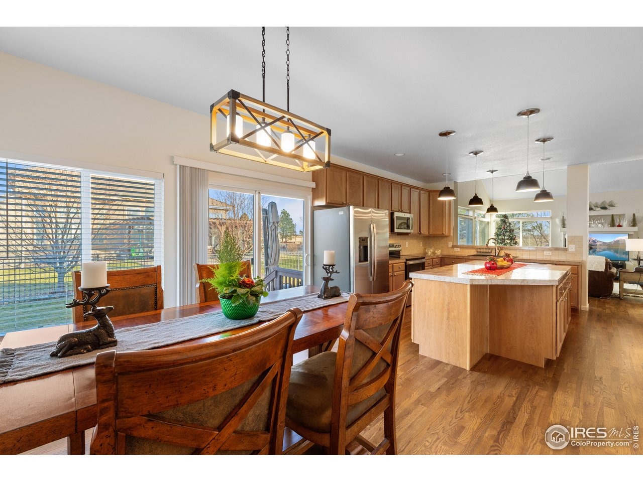 Harbor Ct, Windsor, CO 80550