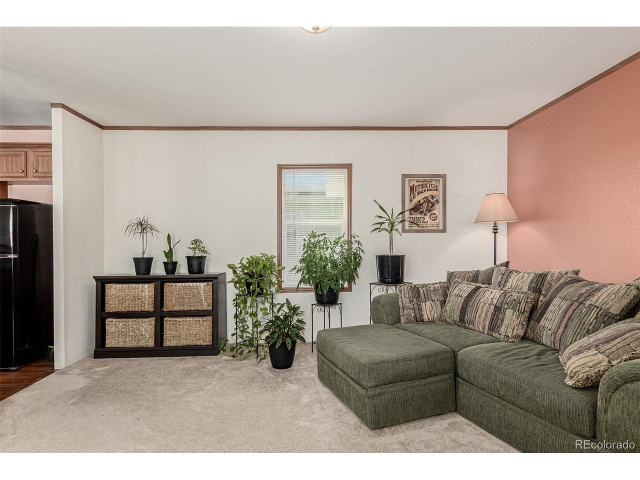 Tilbury Ct, Longmont, CO 80504 #1