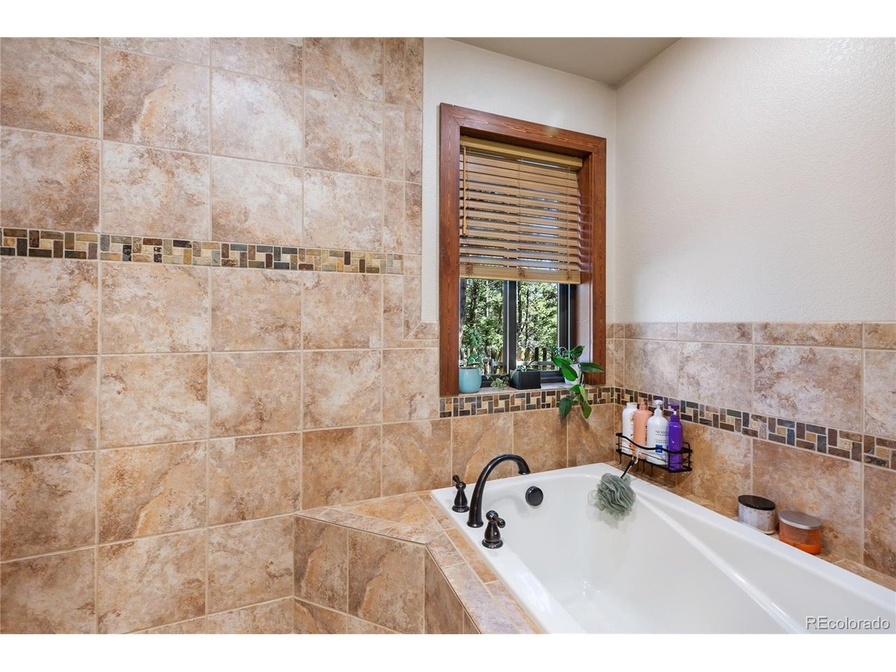 Feldspar Rd, Florissant, CO 80816 #1
