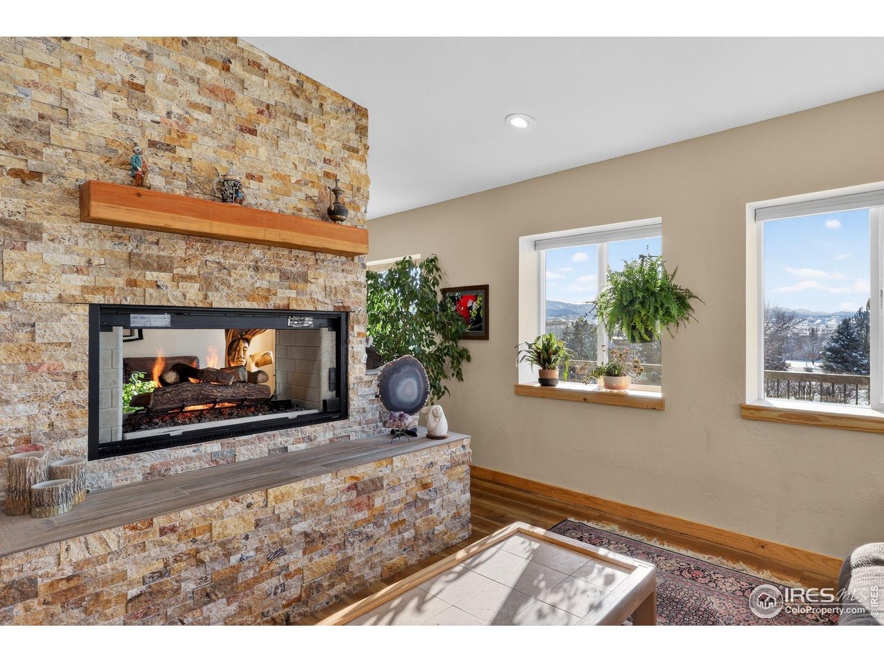 Hatton Pl, Montrose, CO 81401 #1