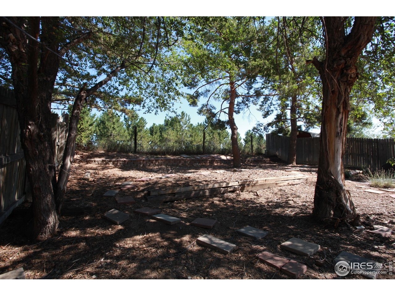 Olive St, Fort Collins, CO 80521 #1