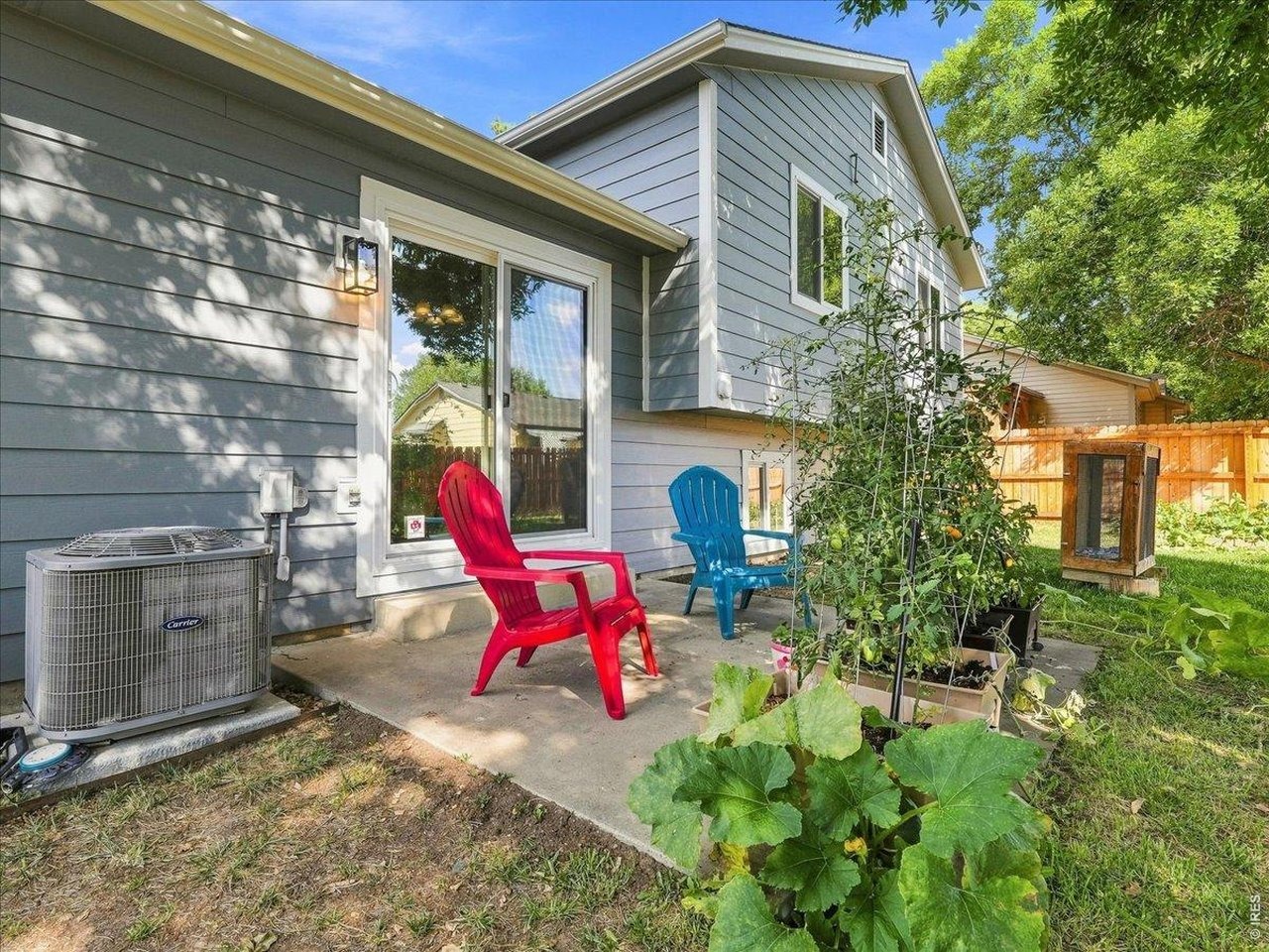White Ash Ct, Loveland, CO 80538 #1