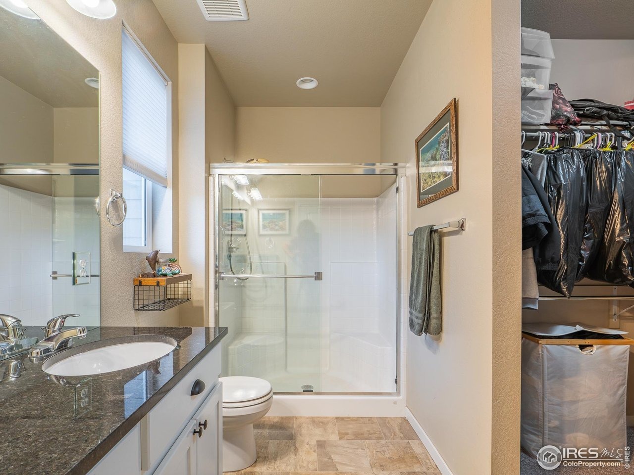 Sweetgum St, Wellington, CO 80549 #1