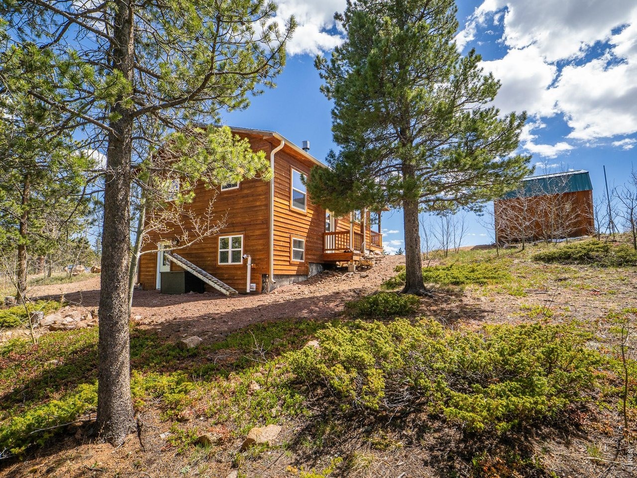 Huron Rd, Red Feather Lakes, CO 80545 #1