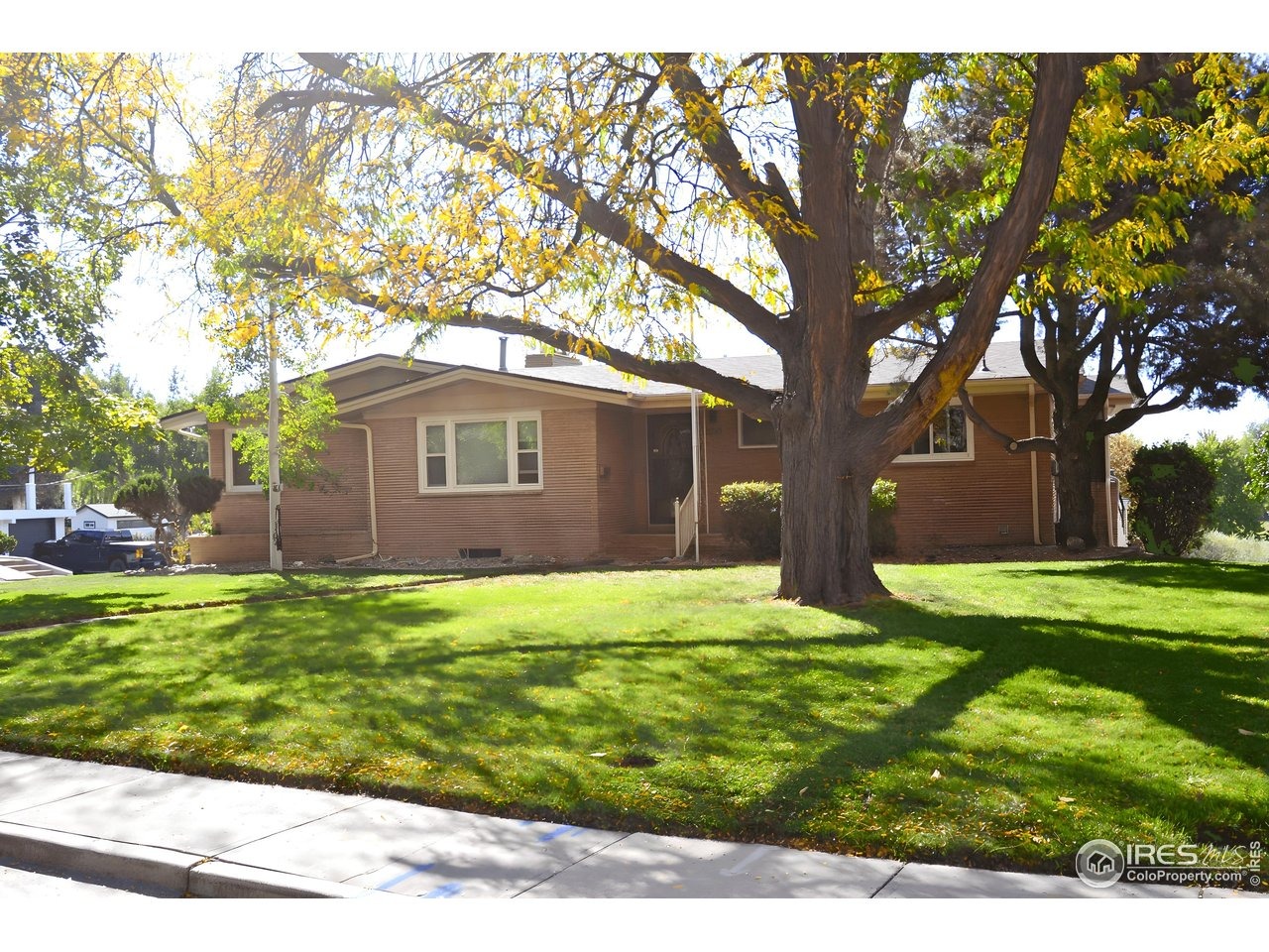 6th St, Loveland, CO 80537 #1