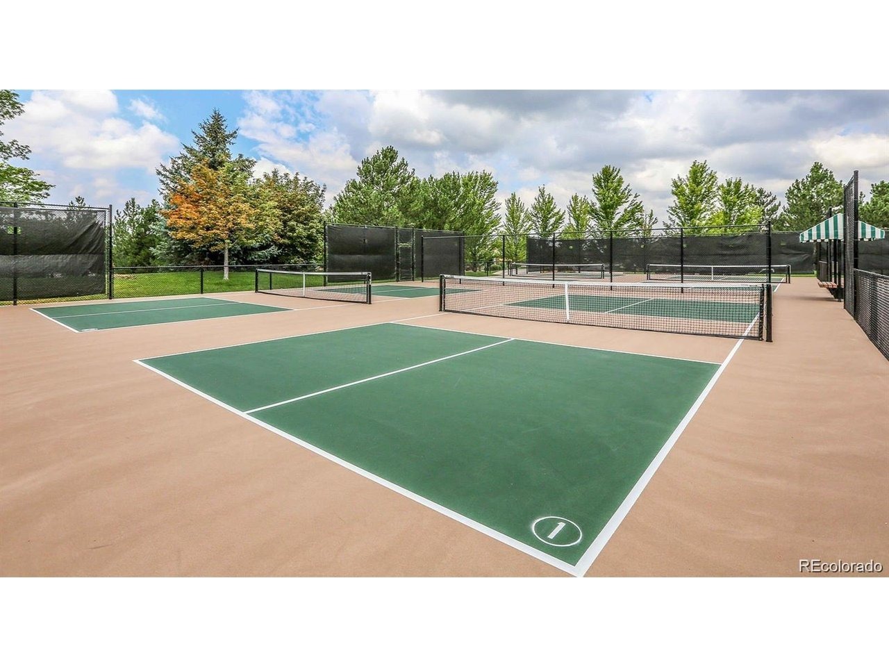 Gold Peak Dr, Highlands Ranch, CO 80130 #1