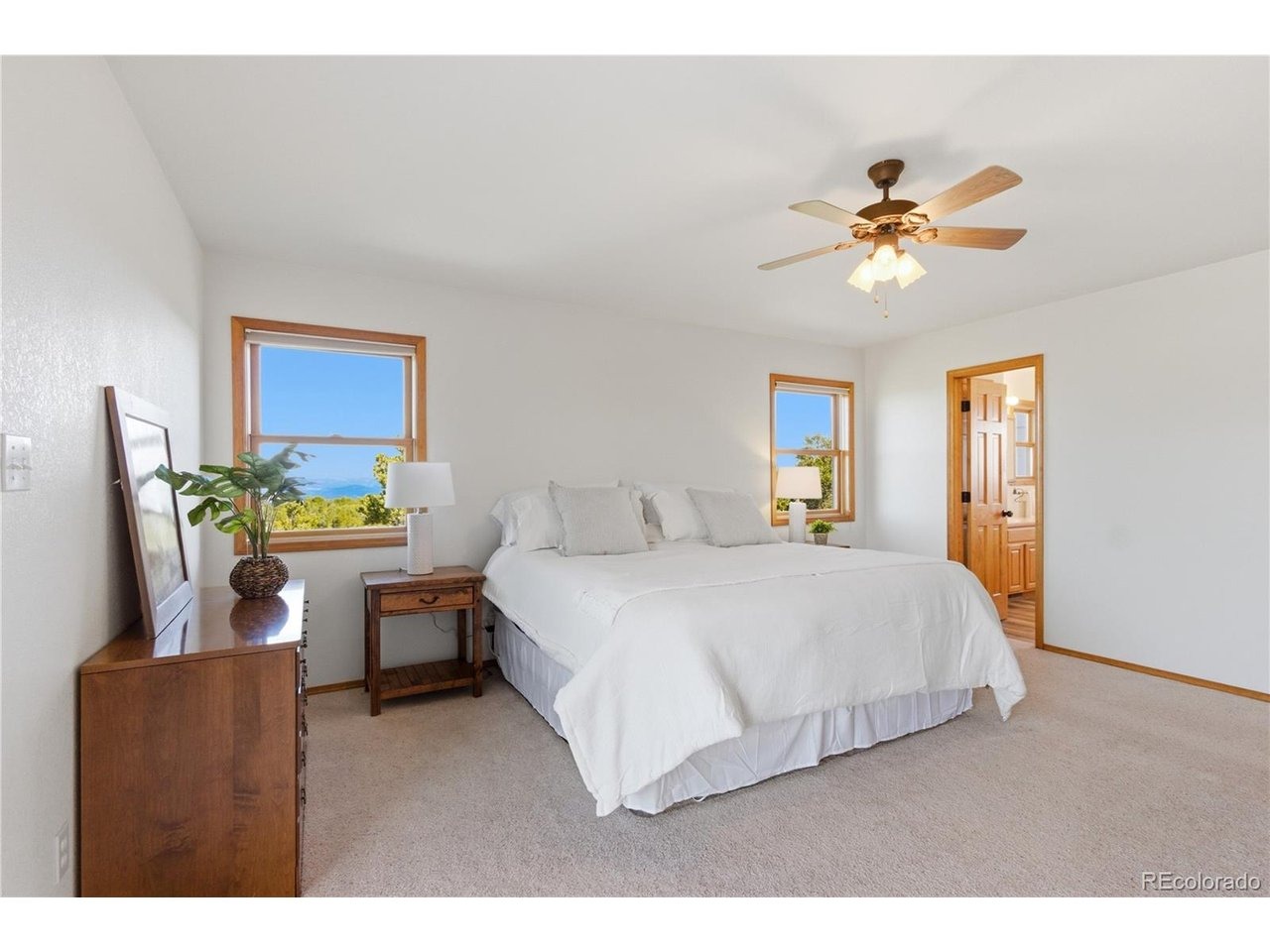 Riggs Rd, Westcliffe, CO 81252 #1