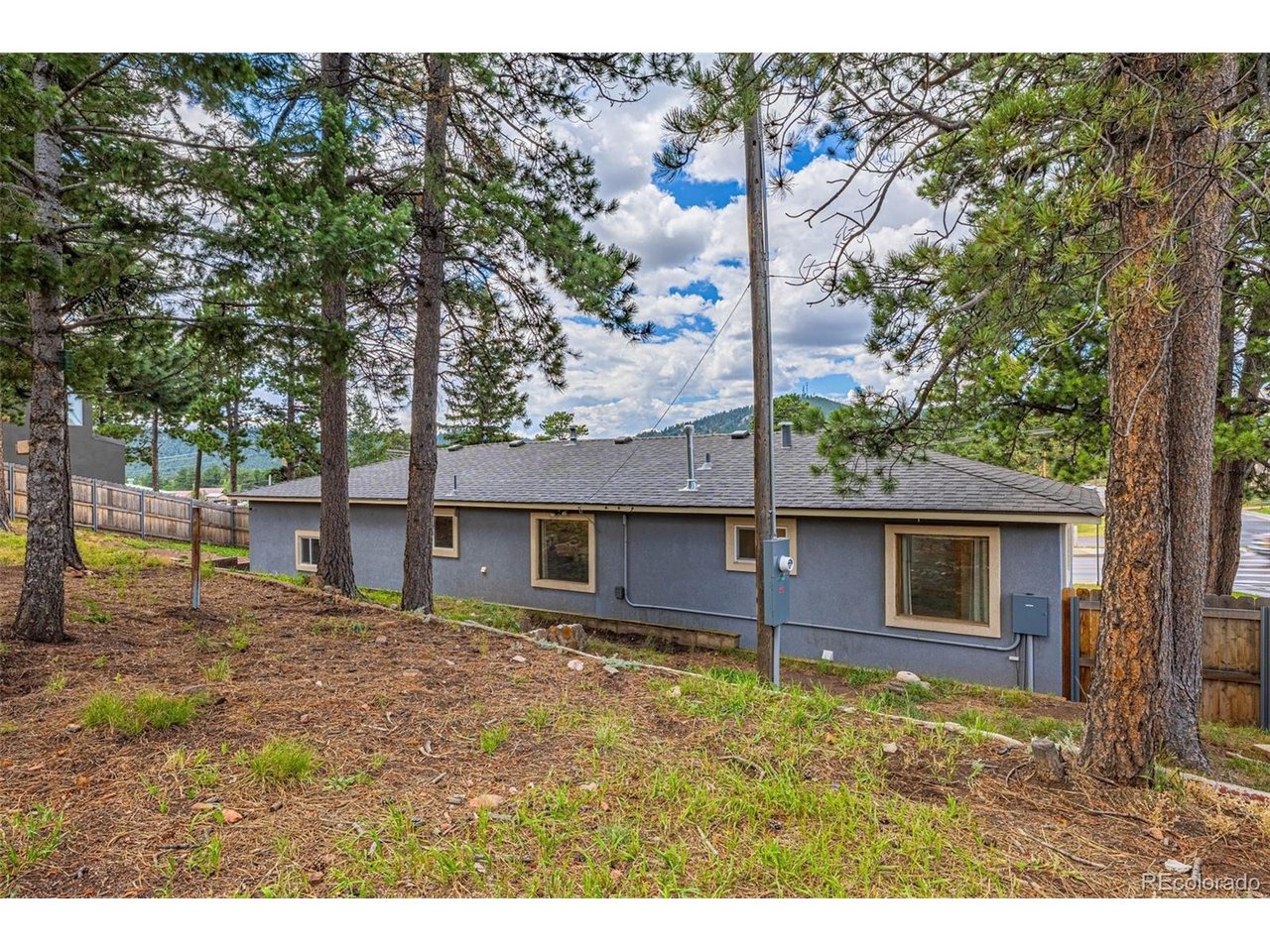 Baldwin St, Woodland Park, CO 80863 #1