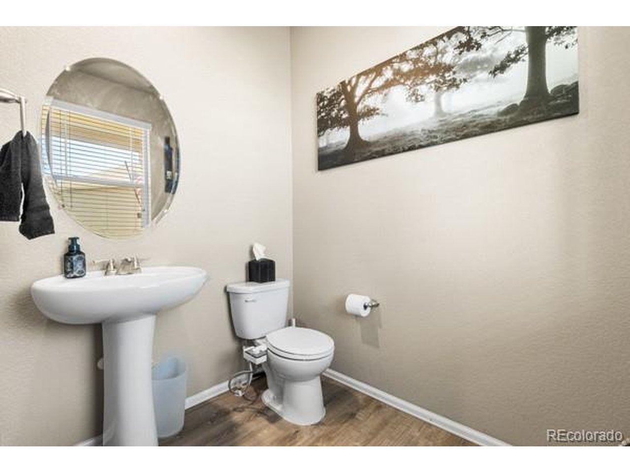 Echo Park Cir, Castle Rock, CO 80104 #1