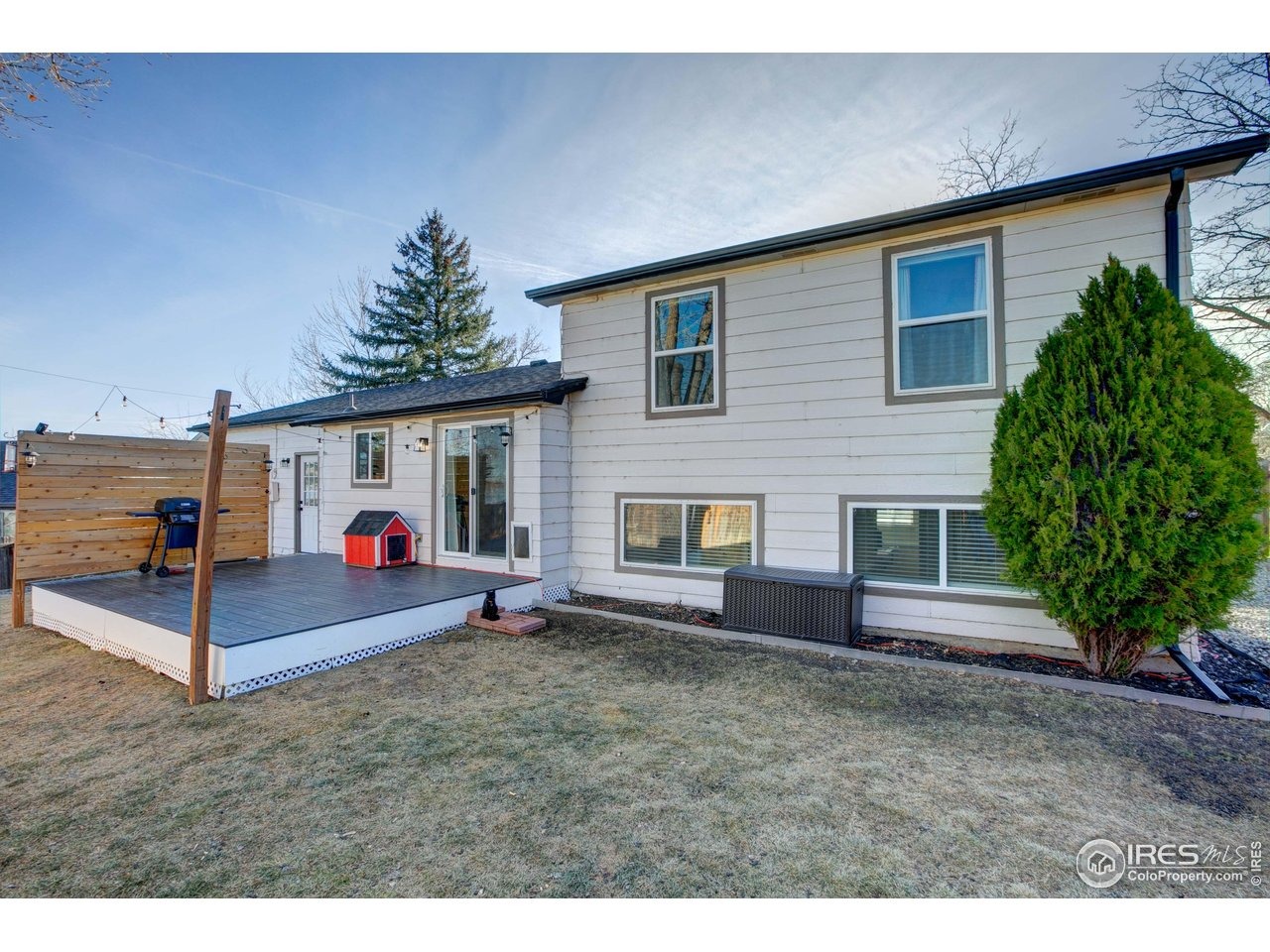 50th St, Loveland, CO 80538 #1
