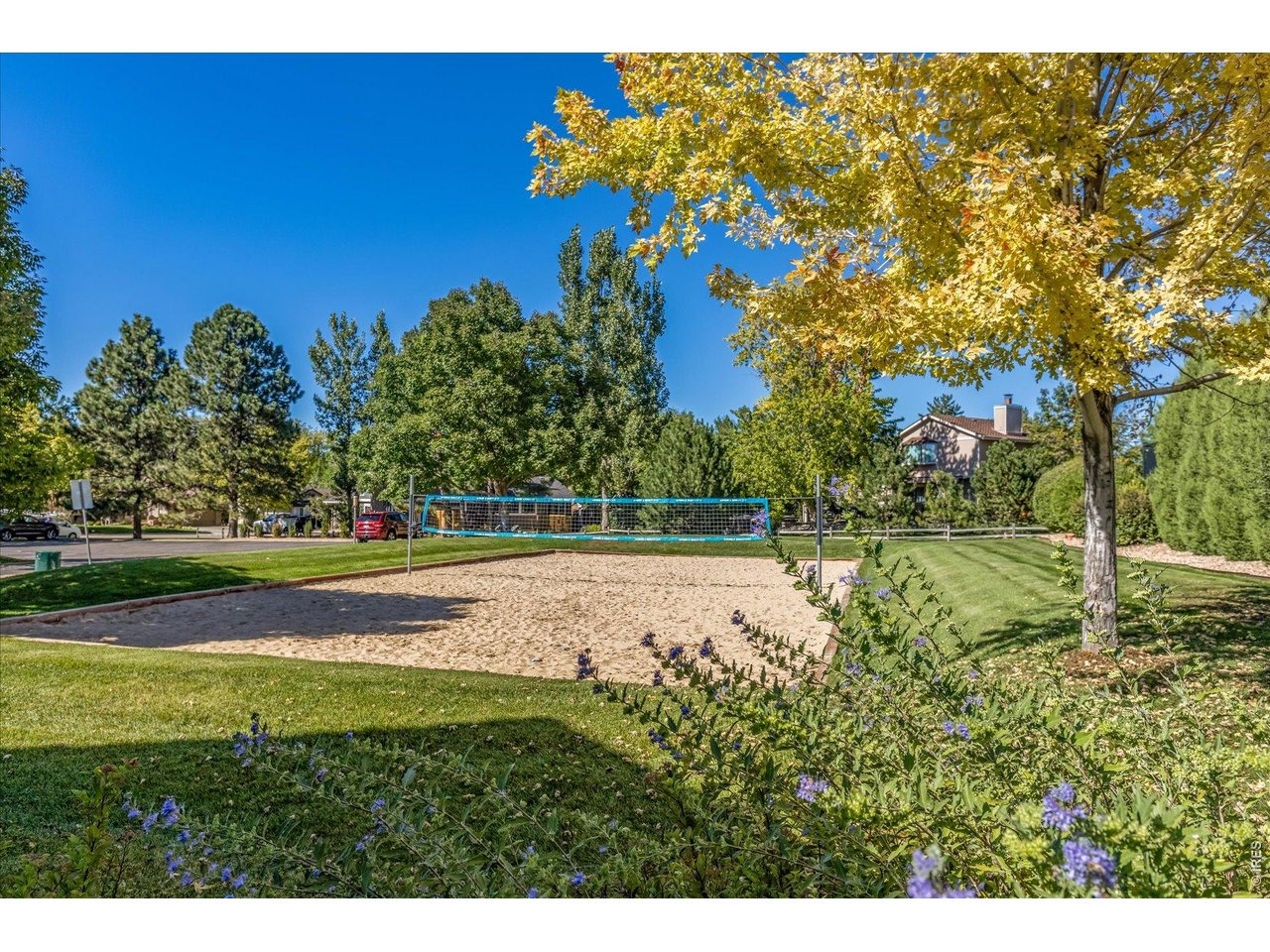 Forest St, Centennial, CO 80122 #1
