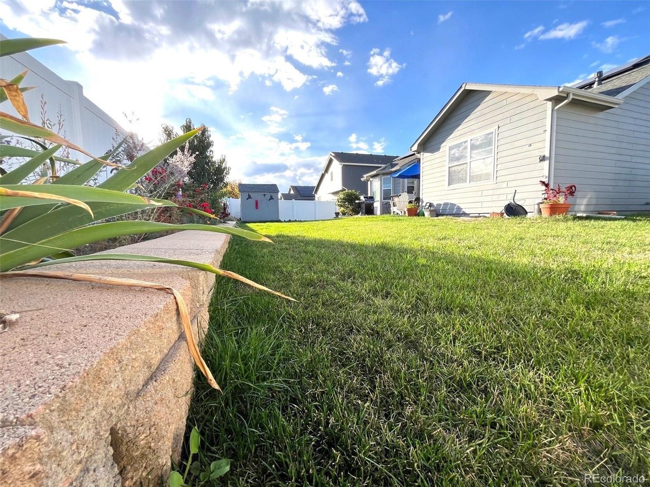 Cinnamon Cir, Mead, CO 80542 #1