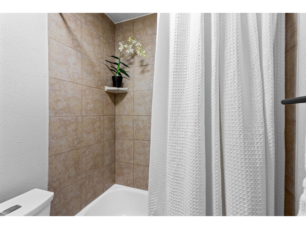 49th Ave, Wheat Ridge, CO 80033
