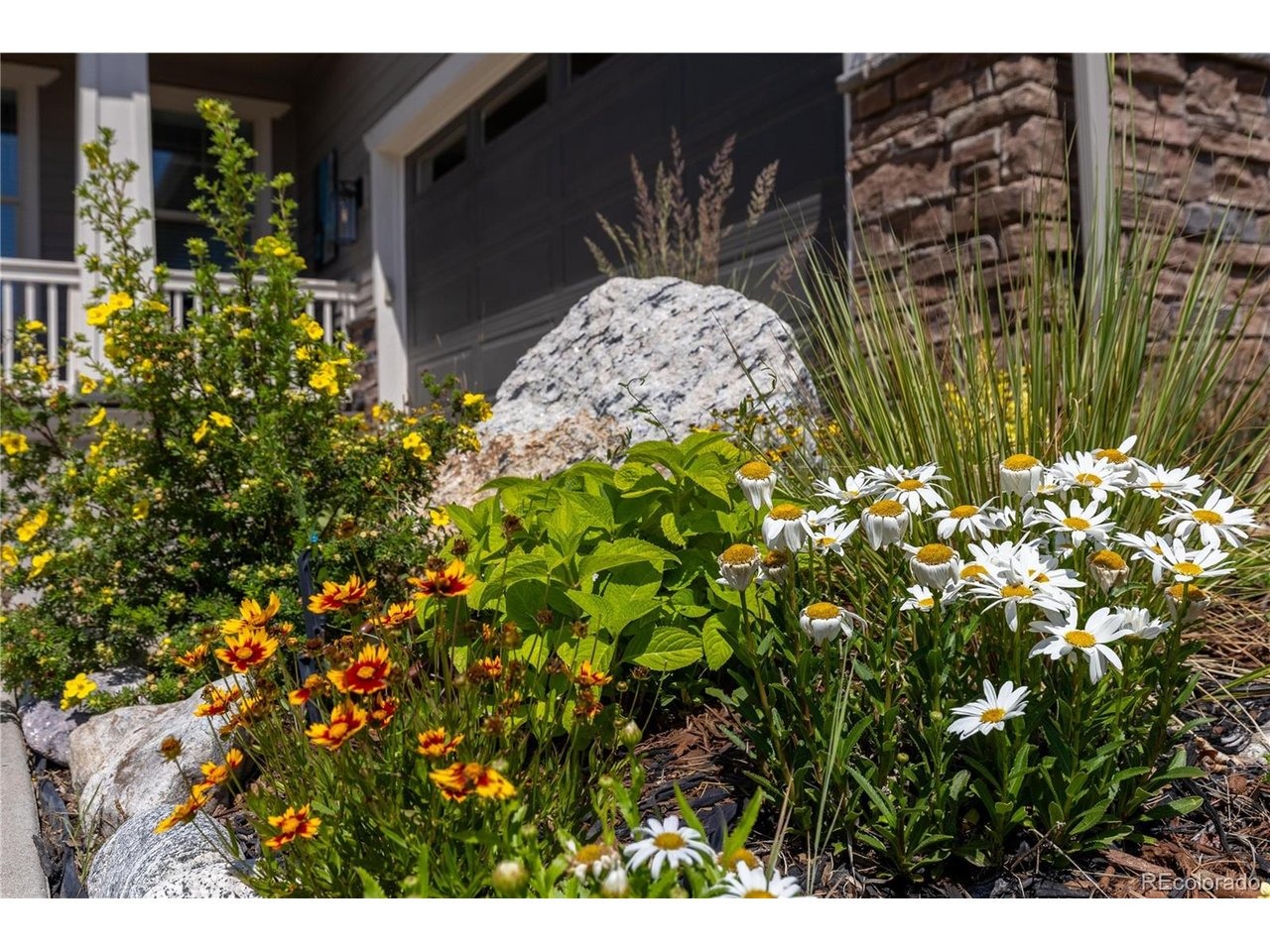 Nile Way, Arvada, CO 80007 #1