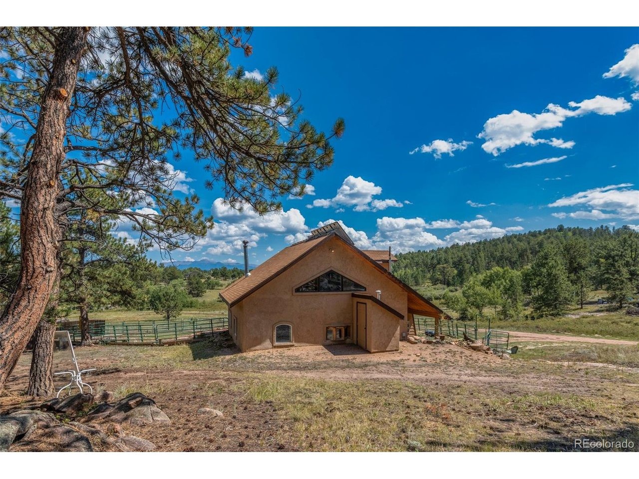 Homestake Pl, Florissant, CO 80816 #1