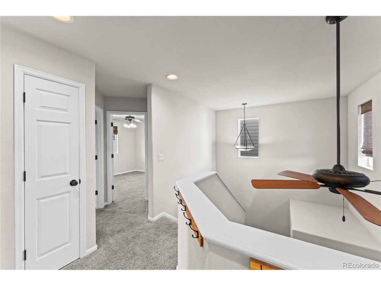 Black Maple Ln, Colorado Springs, CO 80921 #1