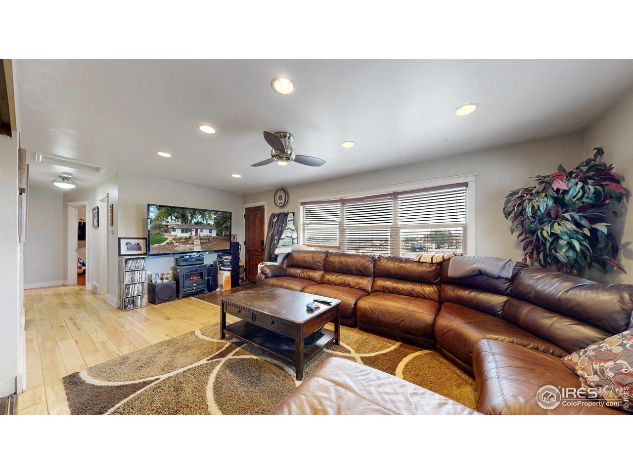 Trilby Rd, Fort Collins, CO 80525 #1