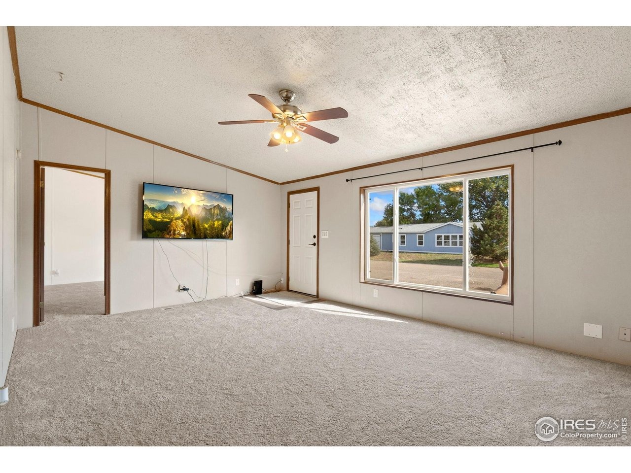 Shenandoah St, Greeley, CO 80634 #1