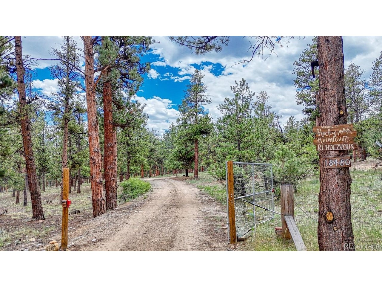 Ponderosa Ln, Buena Vista, CO 81211 #1