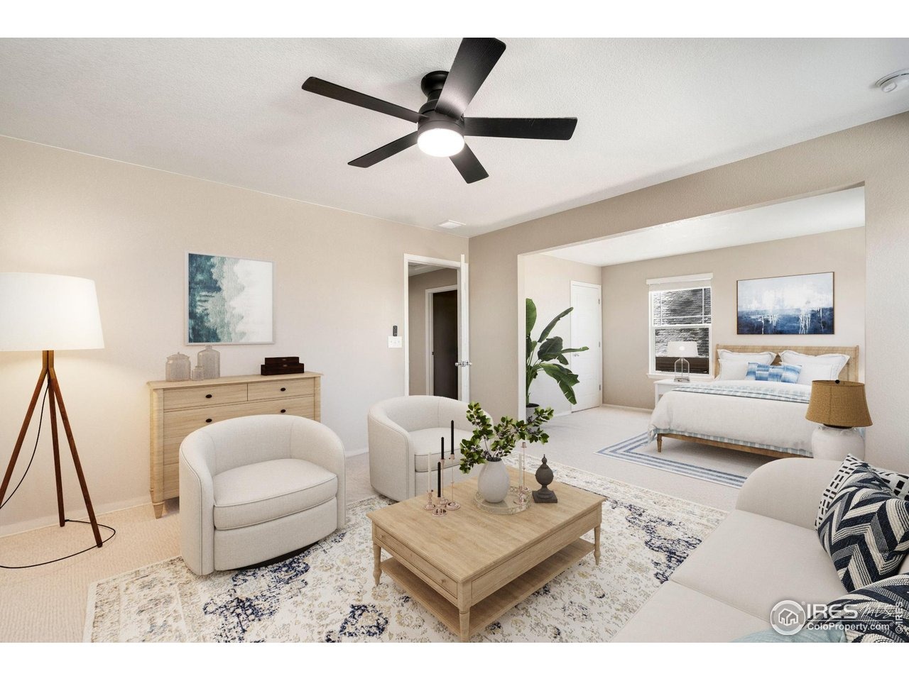 Longfin Dr, Windsor, CO 80550 #1