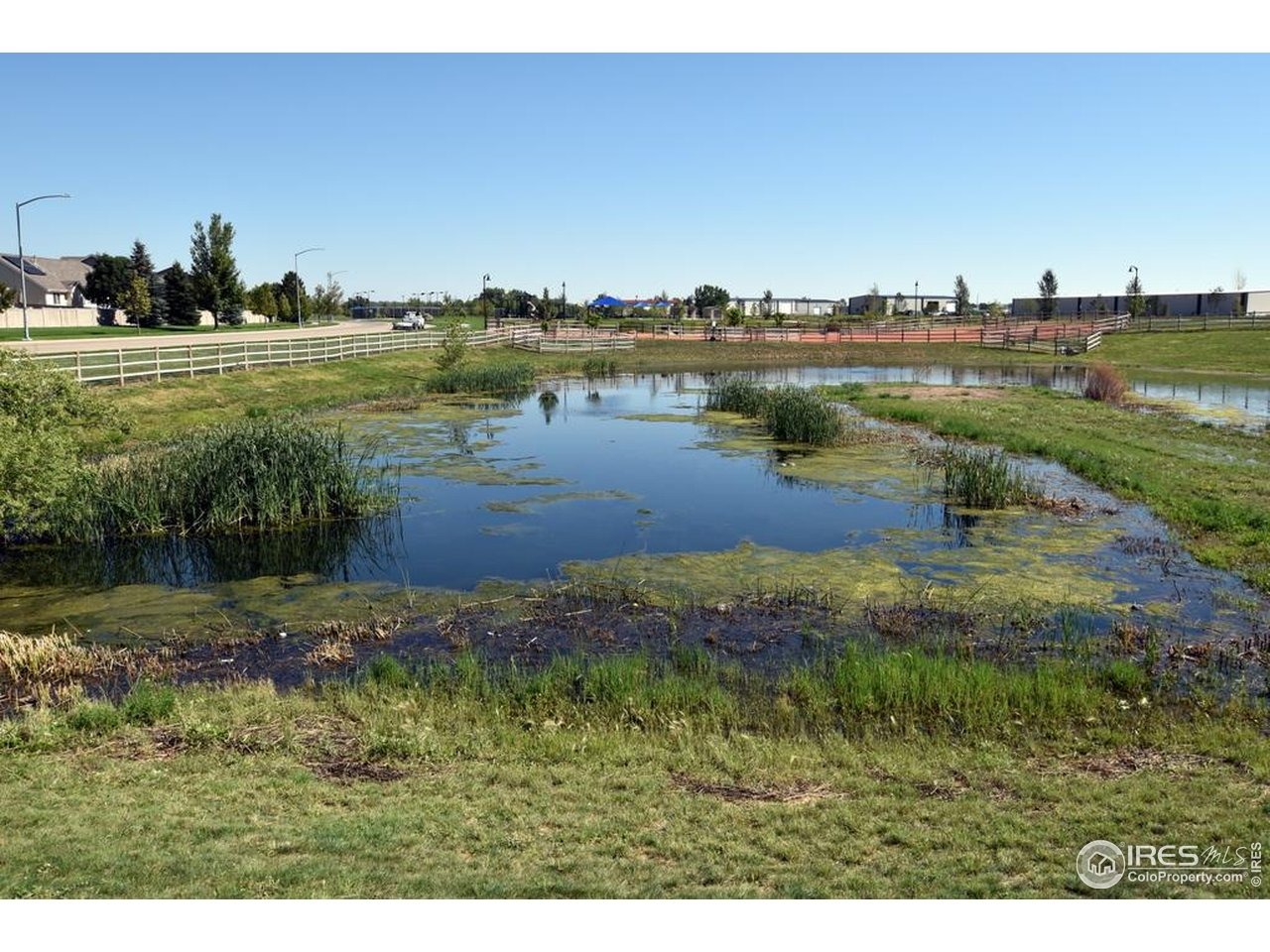 White Buffalo Dr, Wellington, CO 80549