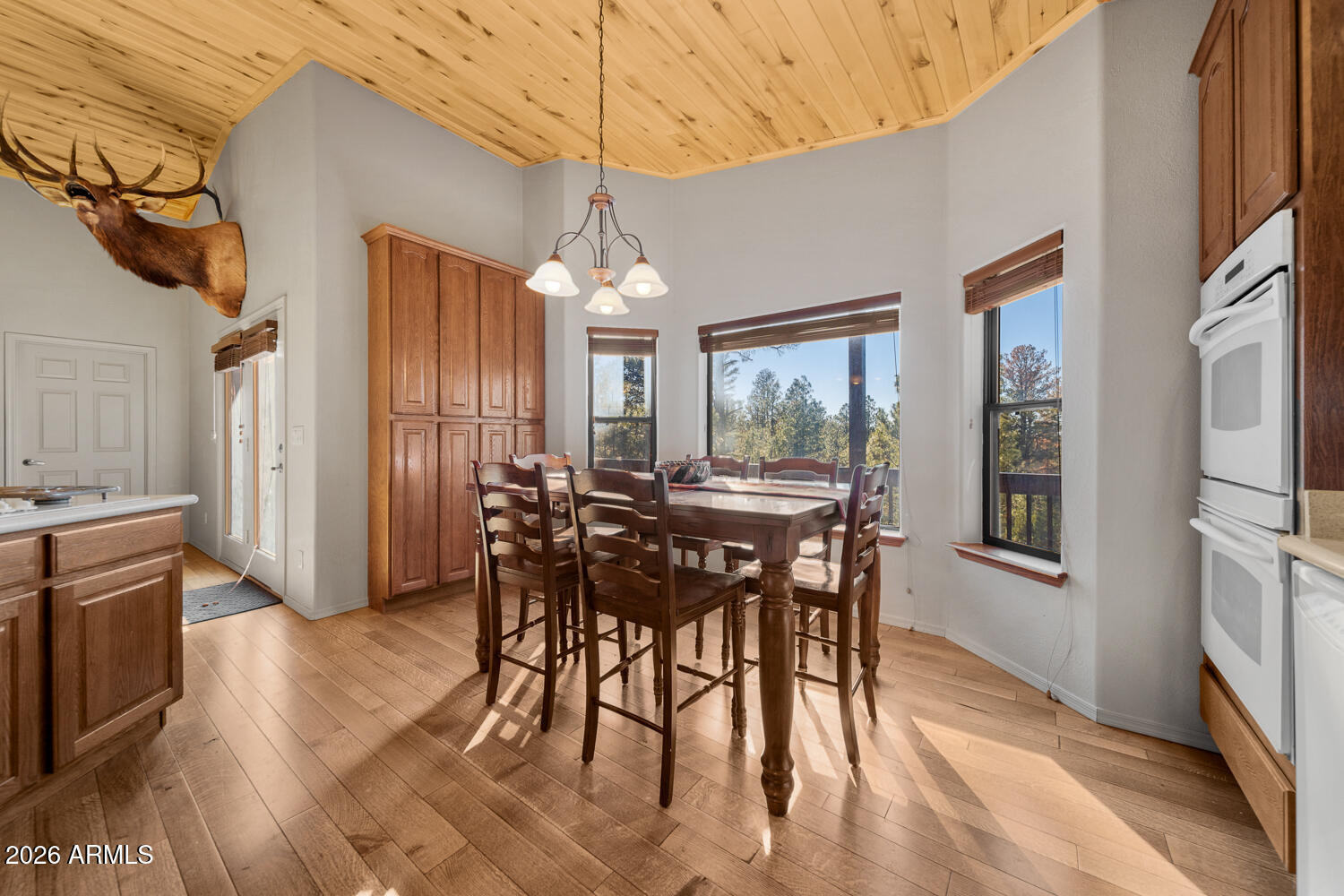 Constellation Ln, Overgaard, AZ 85933 #1