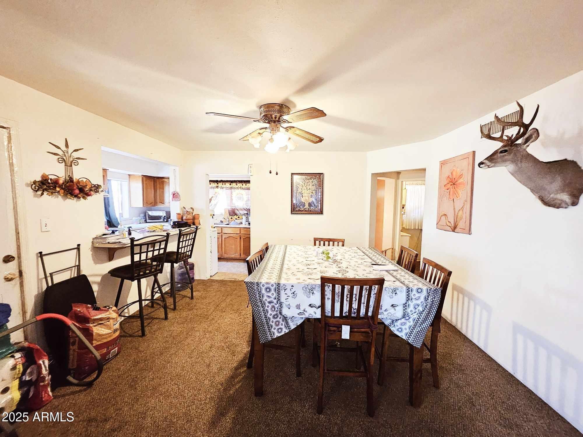 Towner Ave, Naco, AZ 85620 #1