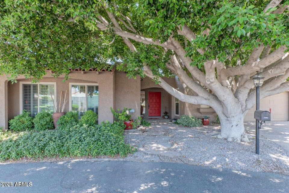 Rose Ln, Scottsdale, AZ 85250