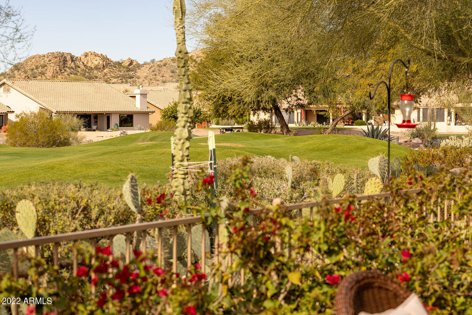 Pinnacle Ln, Gold Canyon, AZ 85118