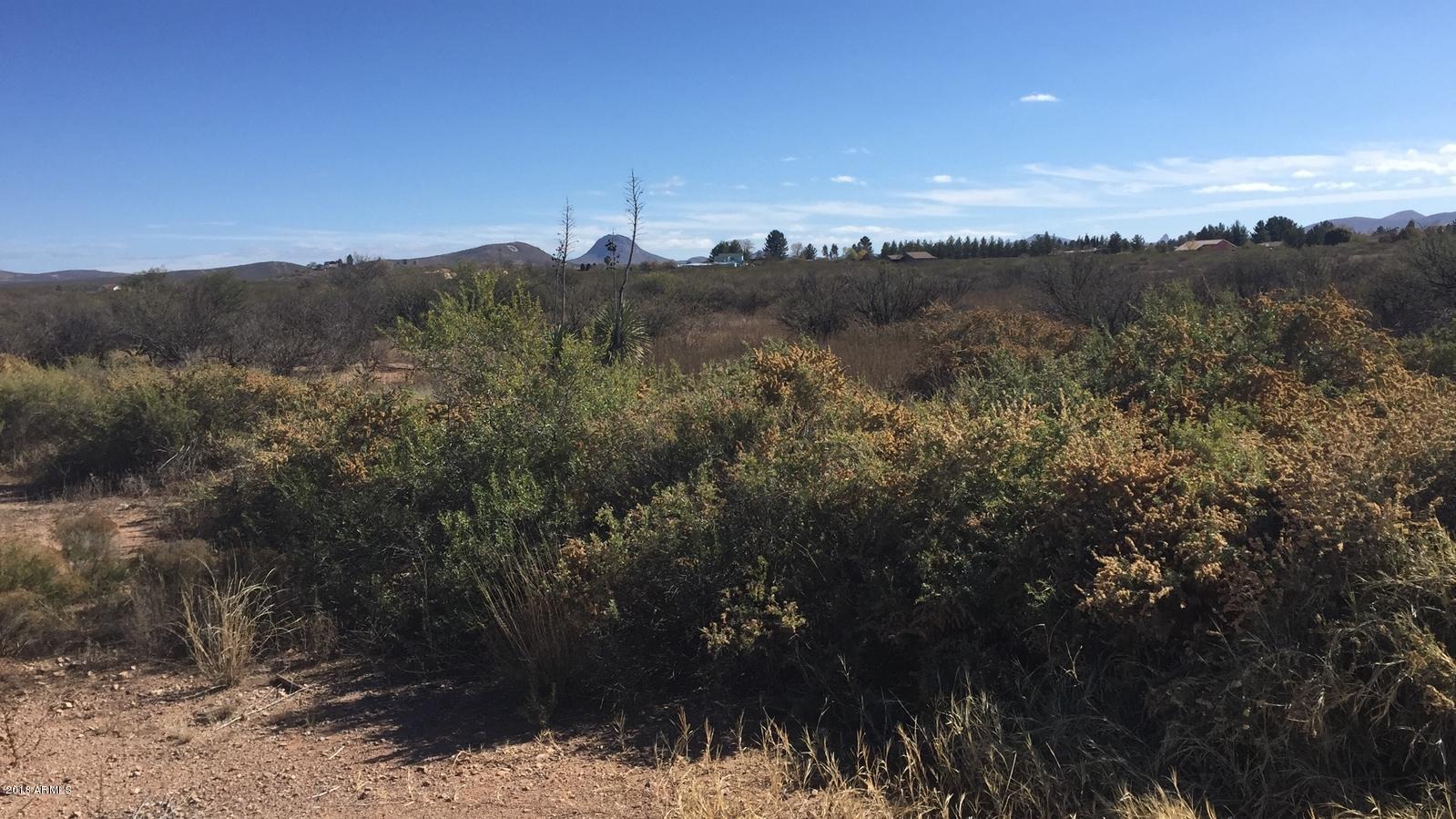 Washington Ave, Douglas, AZ 85607 #1