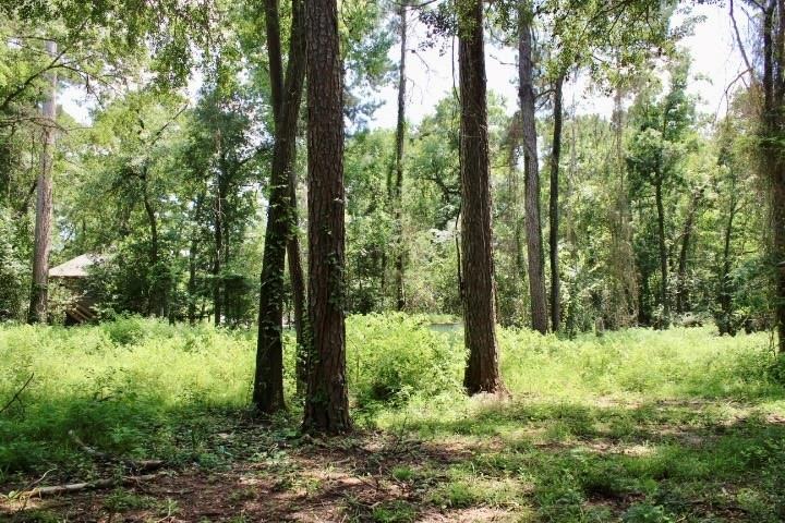Dogwood Trl, Montgomery, TX 77316 #1