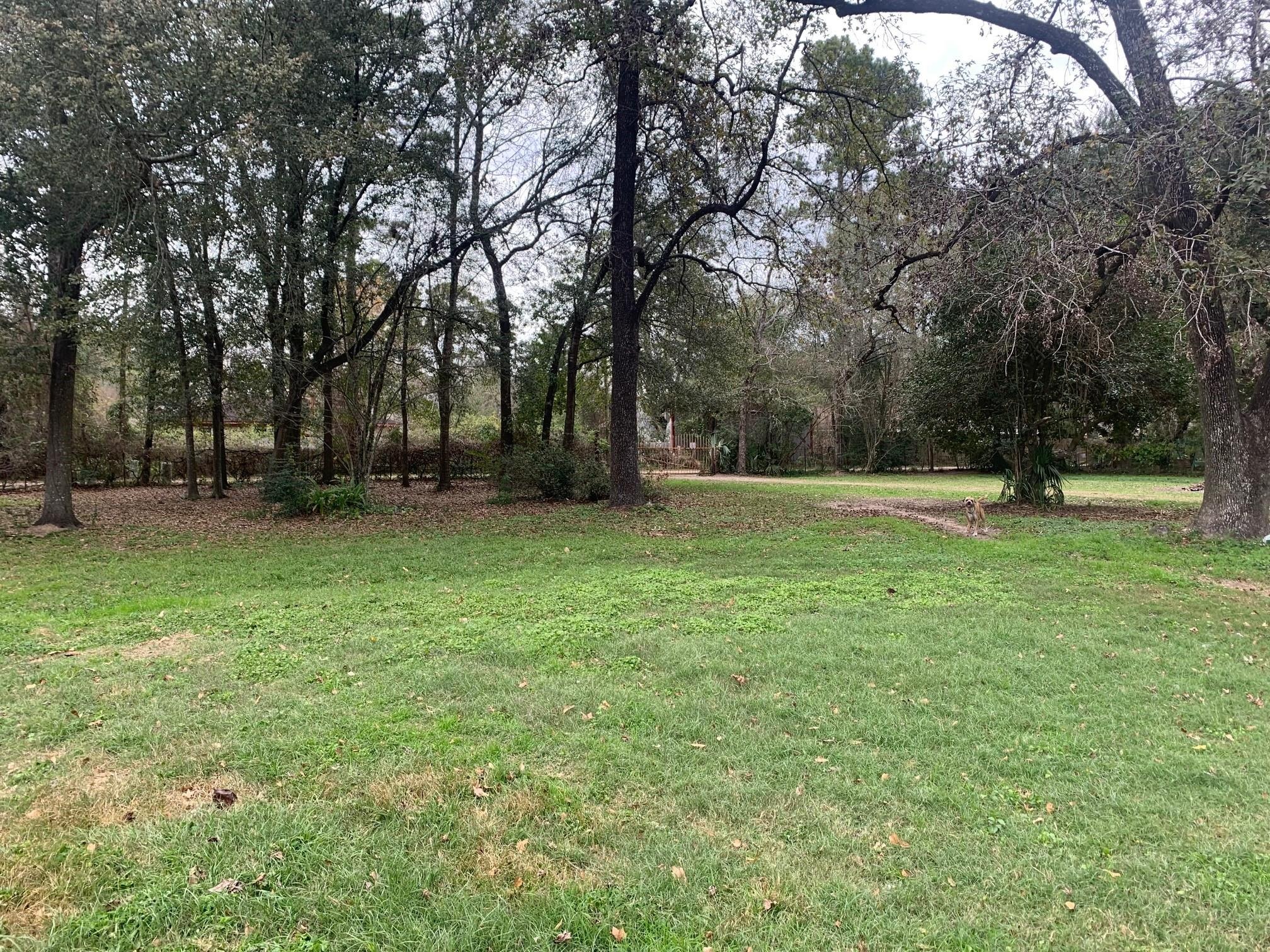 Hudson , New Caney, TX 77357