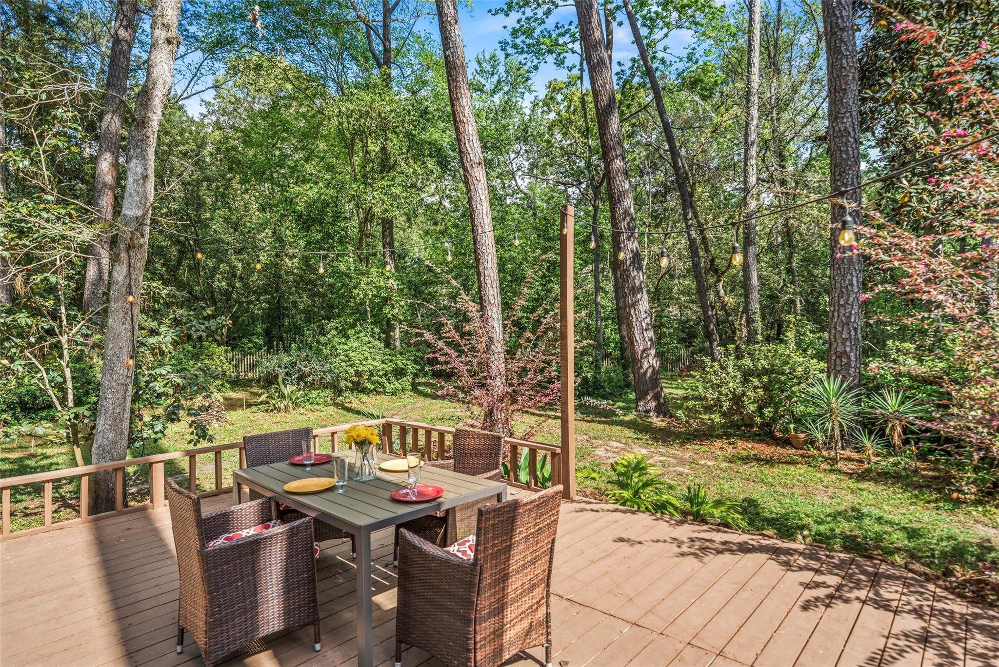 Kings Forest Dr, Kingwood, TX 77339 #1