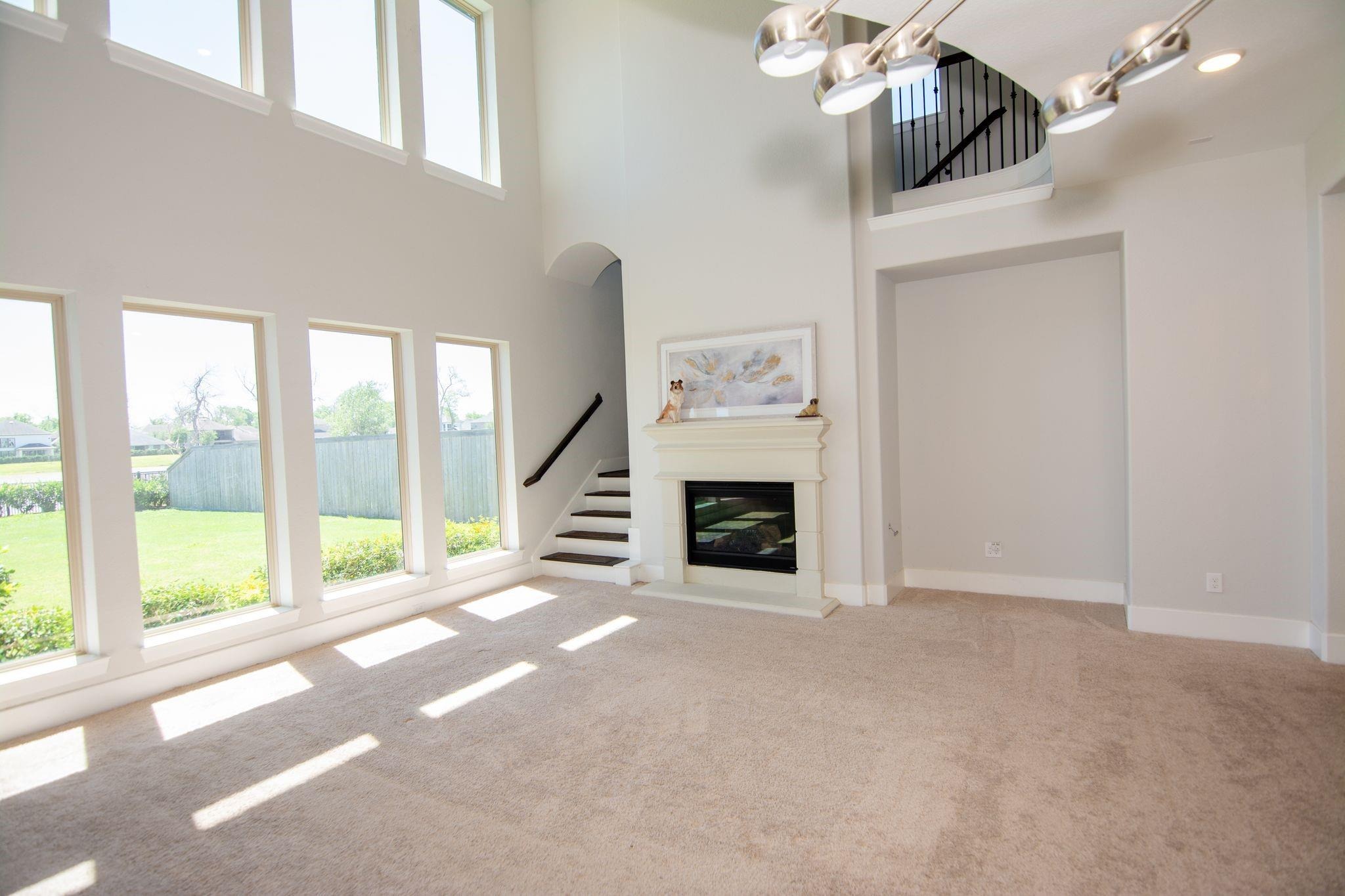 Priamus Dr, Missouri City, TX 77459 #1