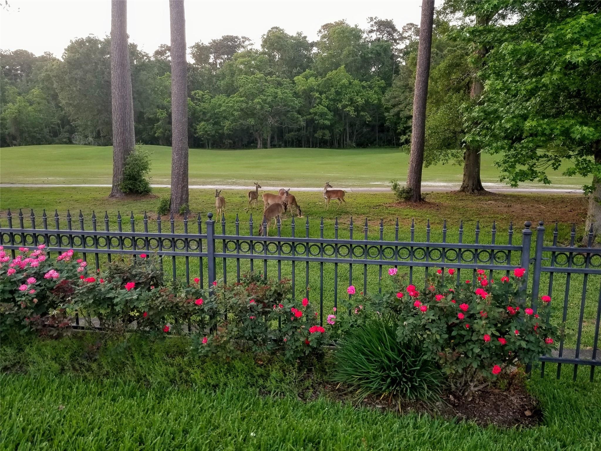 Cotswold Manor Dr, Kingwood, TX 77339