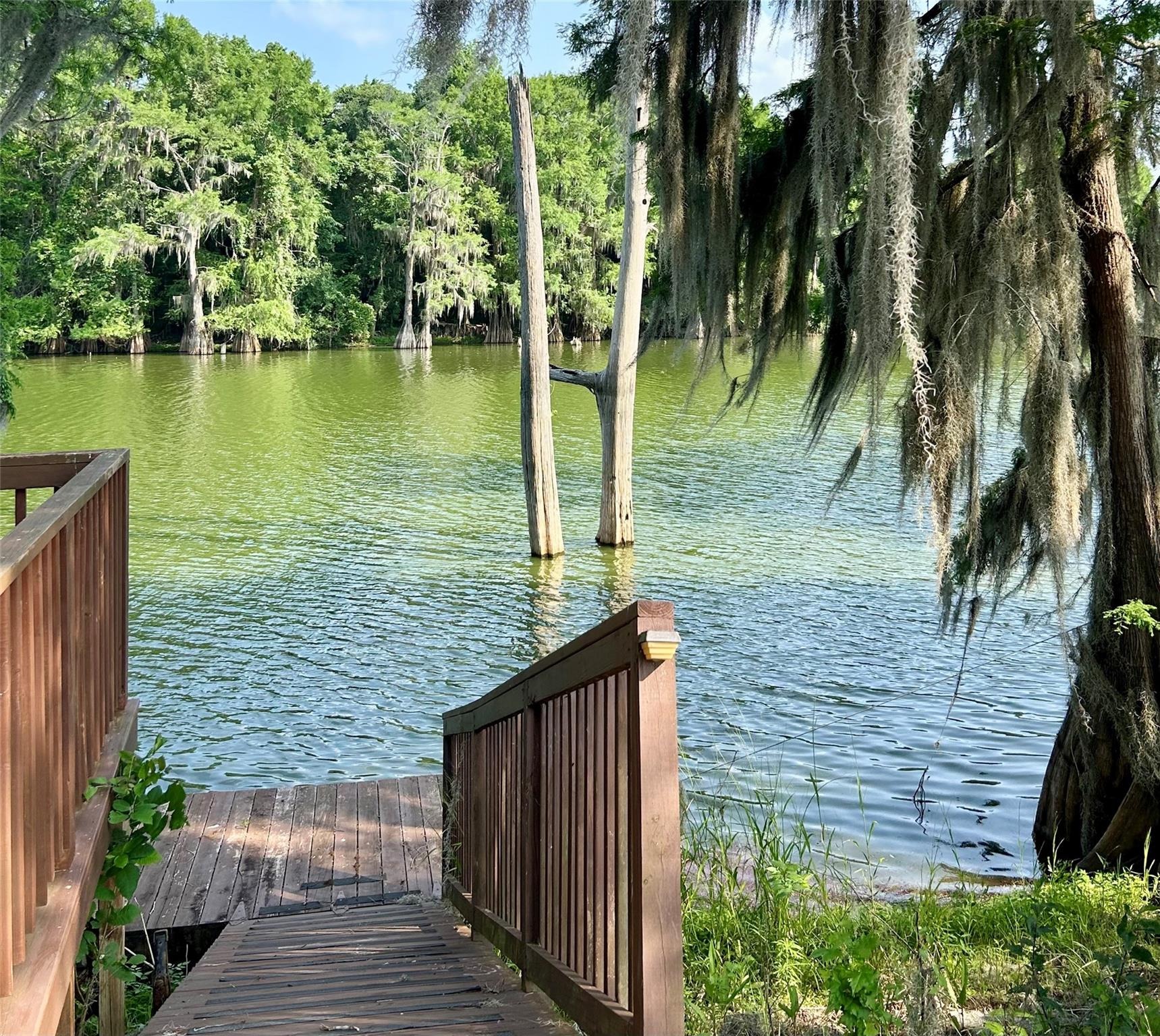 Ferguson Dr, Cleveland, TX 77327 #1