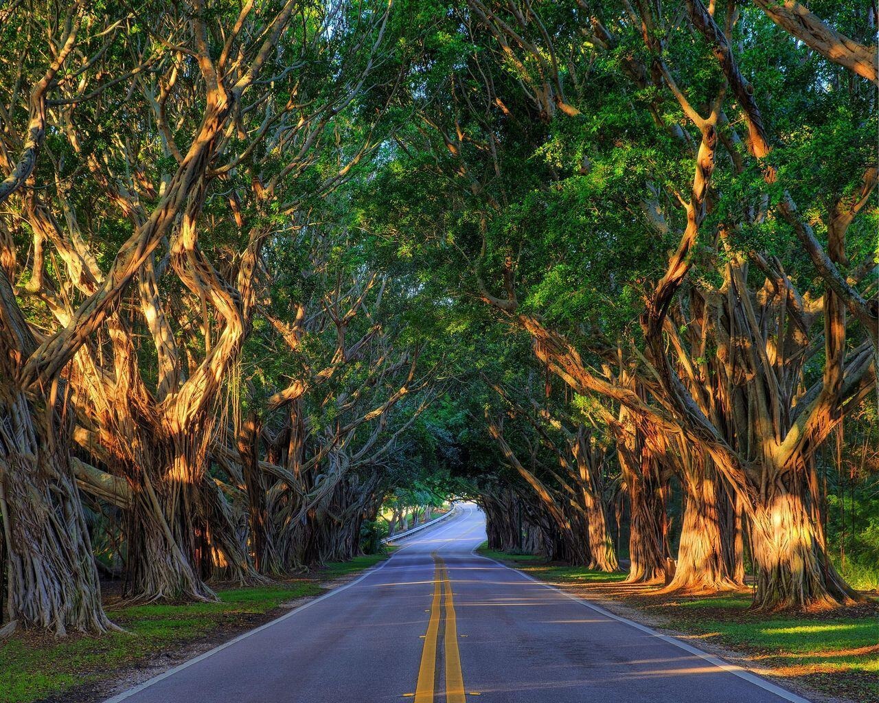 Yacht Club Cir, Hobe Sound, FL 33455 #1