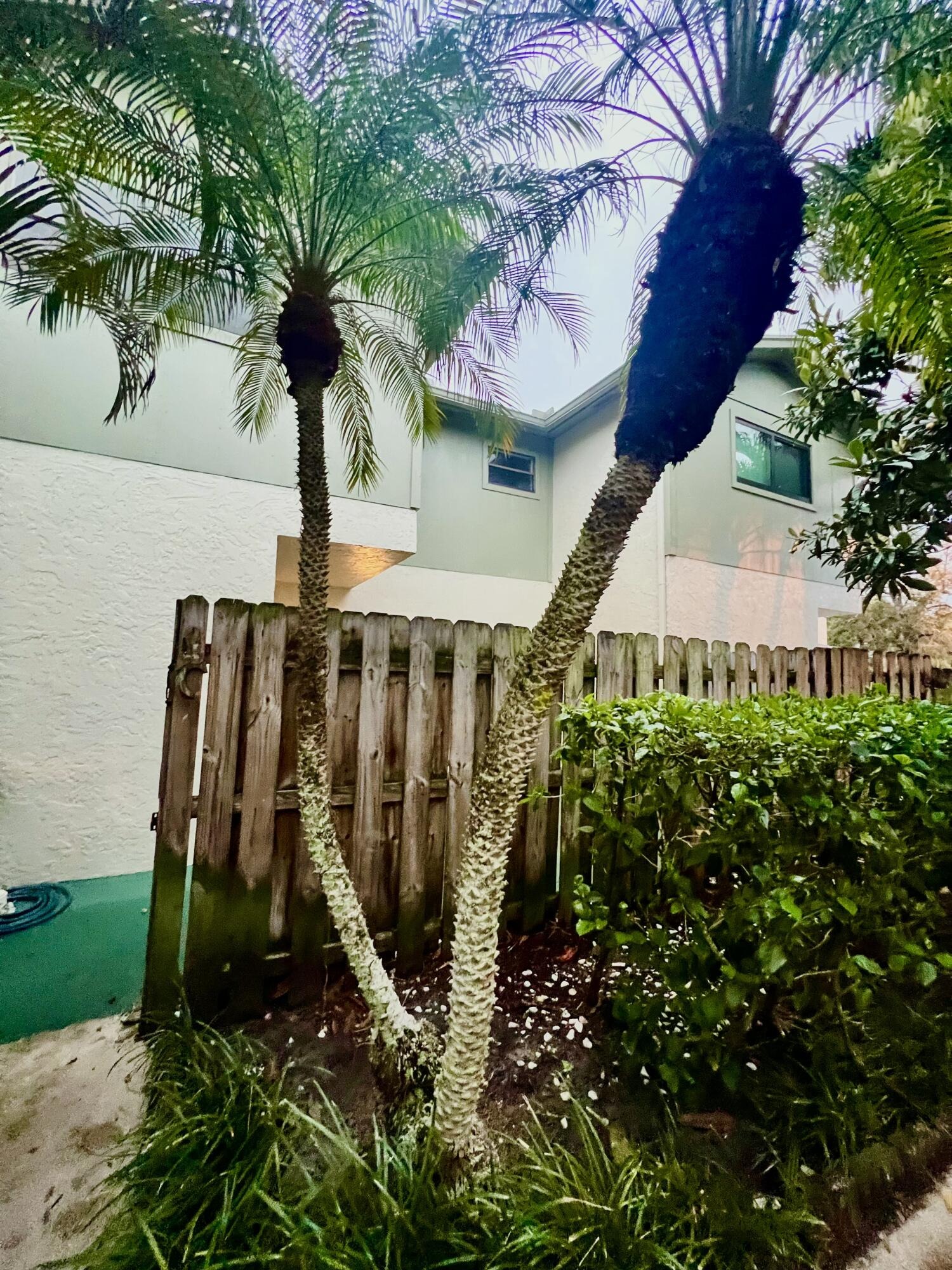Lilac St, Palm Beach Gardens, FL 33410